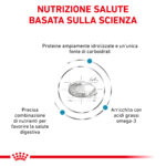 royal-canin-dog-diet-hypoallergenic-secco-gallery (1)