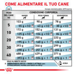 royal-canin-dog-diet-hypoallergenic-secco-gallery (3)