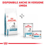 royal-canin-dog-diet-hypoallergenic-secco-gallery (6)