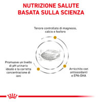 Infografica nutrizione salute basata sulla scienza
