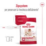 royal-canin-dog-medium-adult-gallery (10)