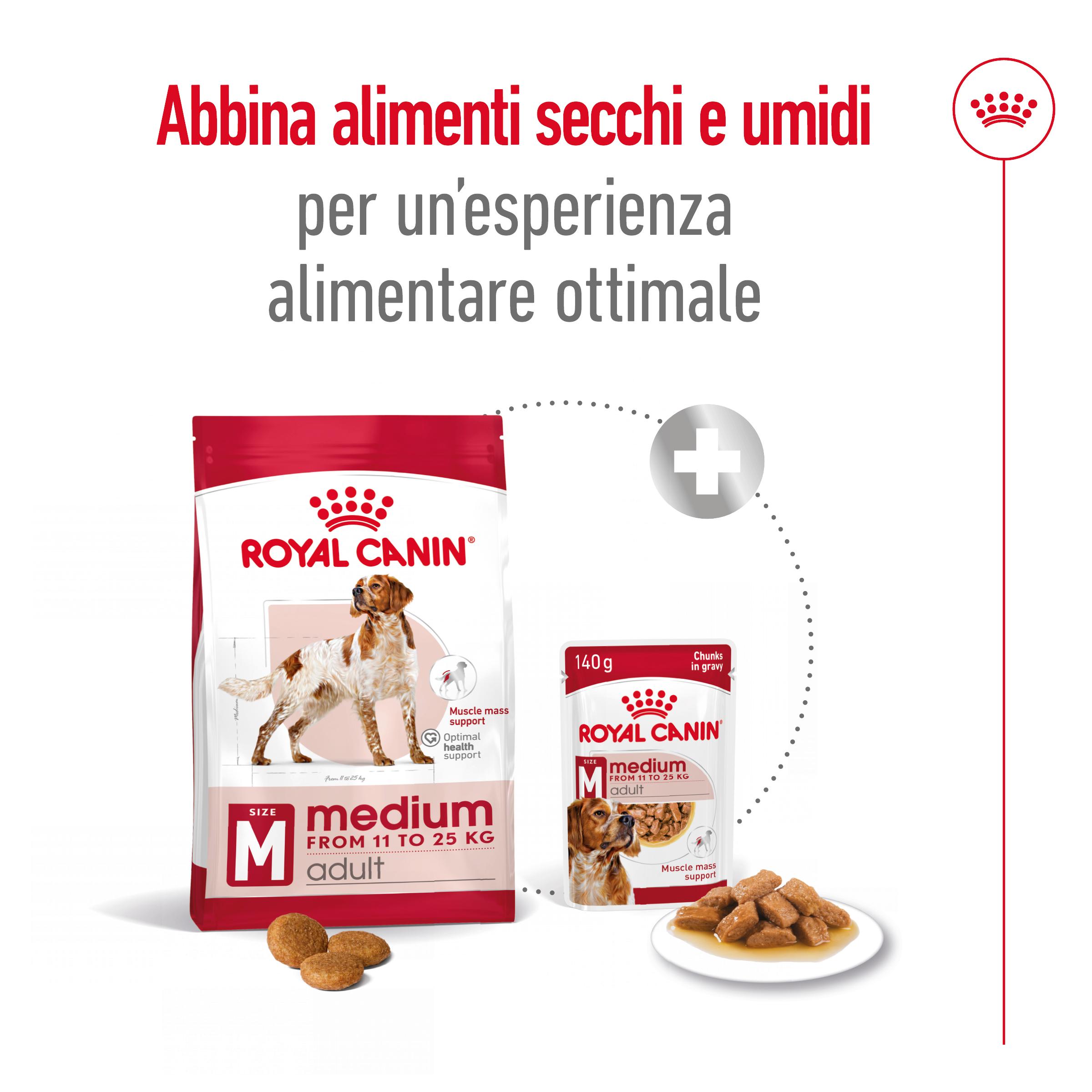 royal-canin-dog-medium-adult-gallery (5)
