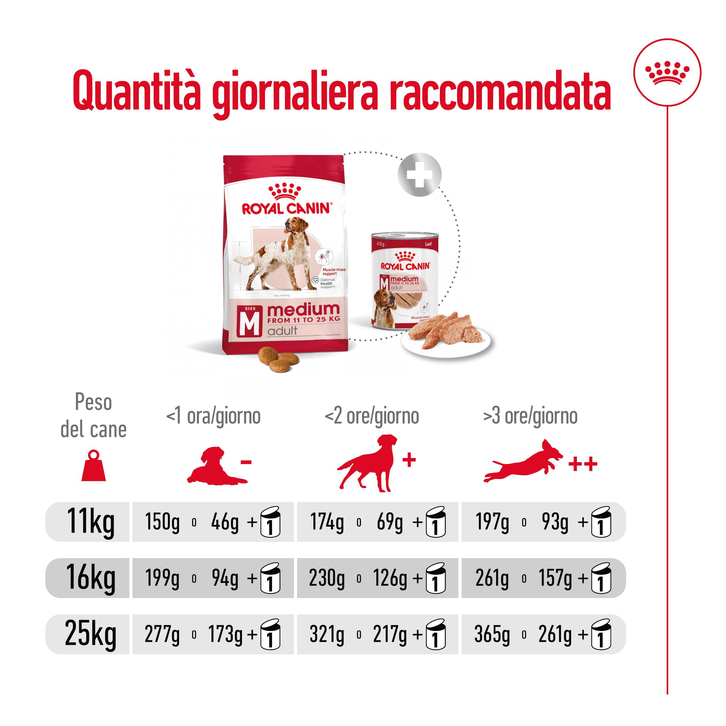 royal-canin-dog-medium-adult-gallery (7)