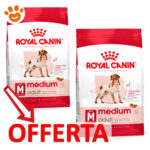royal-canin-dog-medium-adult-mp