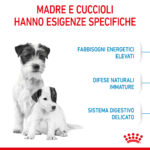 royal-canin-dog-mini-starter-mother-babydog-1