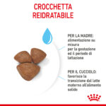 royal-canin-dog-mini-starter-mother-babydog-3