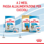 royal-canin-dog-mini-starter-mother-babydog-4