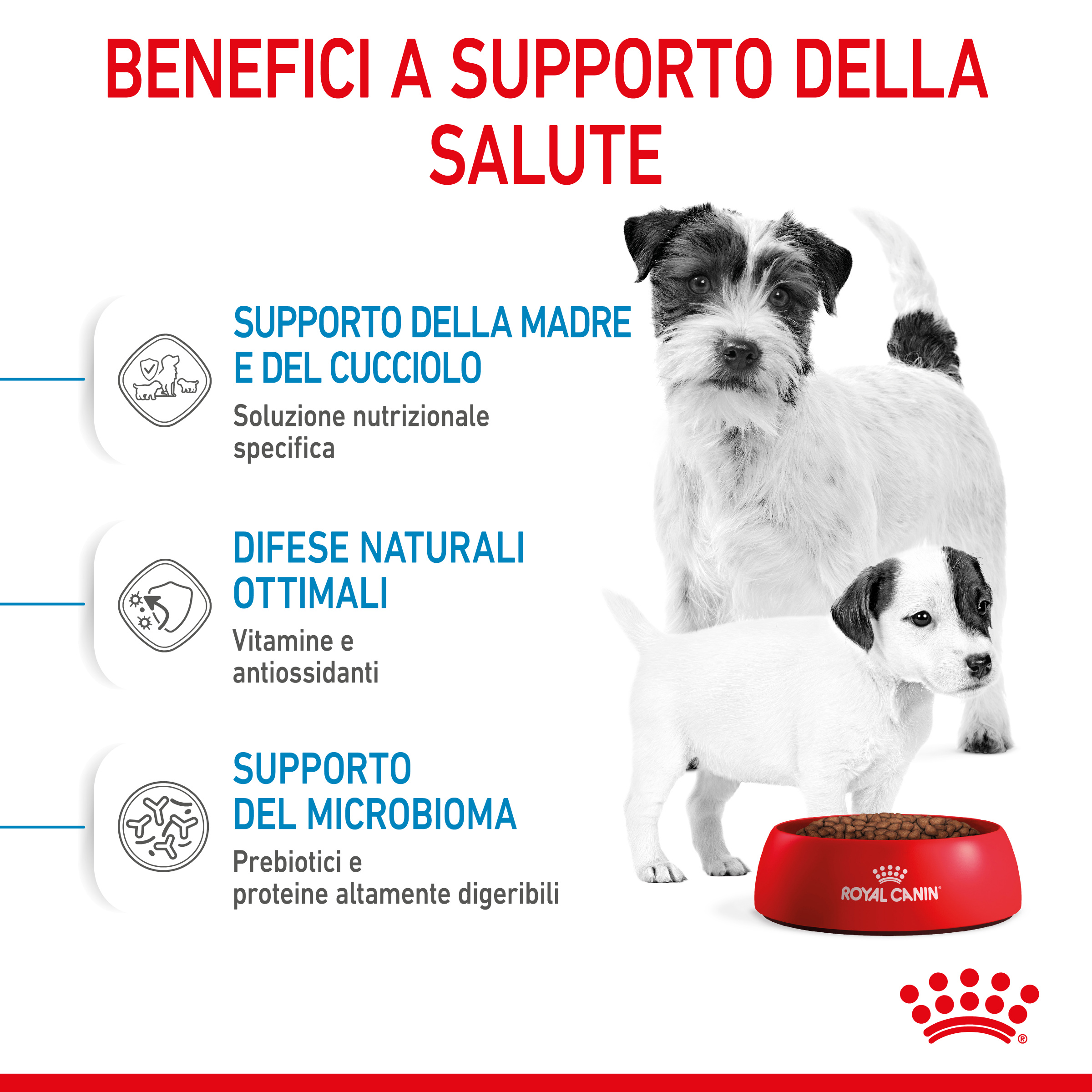 royal-canin-dog-mini-starter-mother-babydog-6