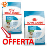 royal-canin-dog-mini-starter-mother-babydog-mp