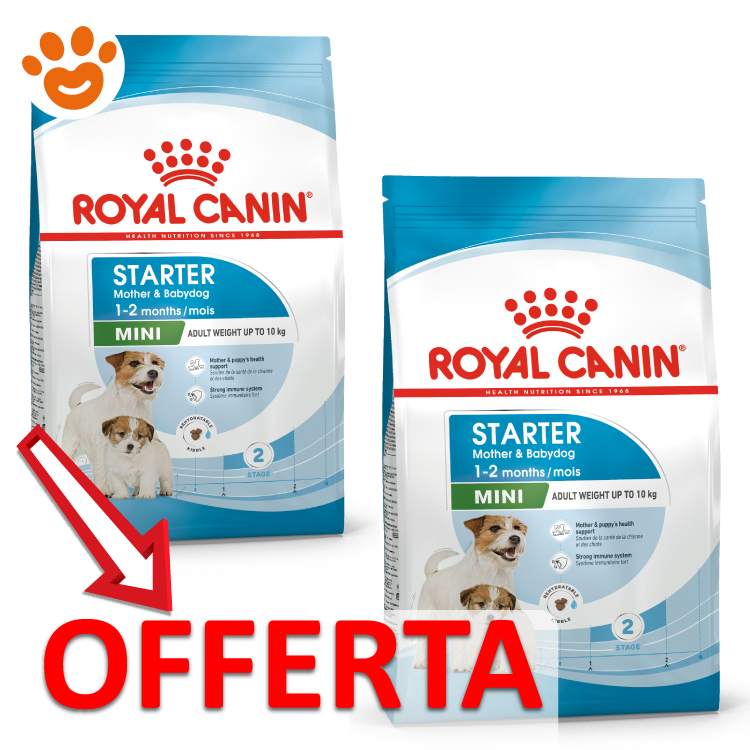royal-canin-dog-mini-starter-mother-babydog-mp
