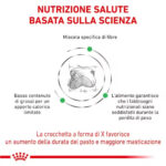 royal-canin-dog-satiety-weight-management-secco-gallery