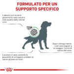 royal-canin-dog-satiety-weight-management-secco-gallery-2
