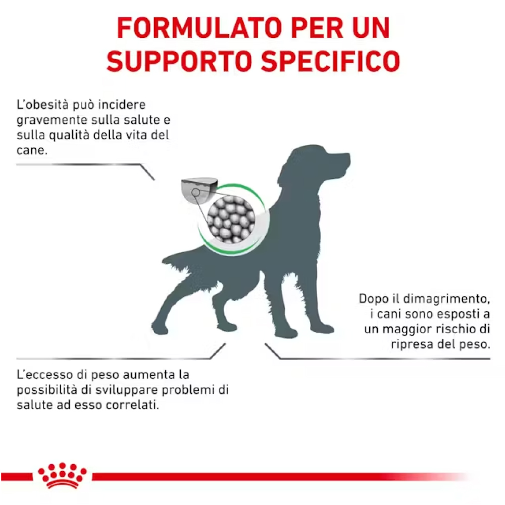 royal-canin-dog-satiety-weight-management-secco-gallery-2
