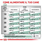royal-canin-dog-satiety-weight-management-secco-gallery-6