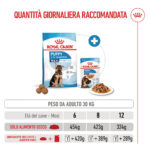royal-canin-dog-shn-maxi-puppy-gallery-4
