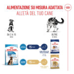 royal-canin-dog-shn-maxi-puppy-gallery-5
