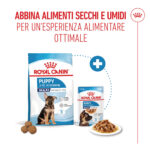 royal-canin-dog-shn-maxi-puppy-gallery-6