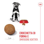 royal-canin-dog-shn-maxi-puppy-gallery-7