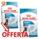 royal-canin-dog-shn-maxi-puppy-mp