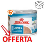 royal-canin-dog-starter-mousse-mother-babydog-195-grammi-mp