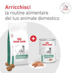 royal-canin-dog-veterinary-diet-diabetic-special-glycobalance-low-carbohydrate-1