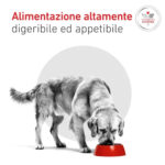 royal-canin-dog-veterinary-diet-diabetic-special-glycobalance-low-carbohydrate-4