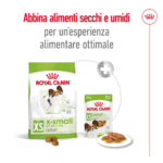 royal-canin-dog-x-small-adult-gallery-5