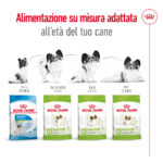 royal-canin-dog-x-small-adult-gallery-6