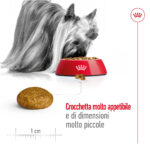 royal-canin-dog-x-small-adult-gallery-7