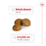 royal-canin-dog-x-small-adult-gallery-8