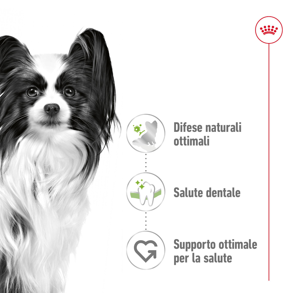 royal-canin-dog-x-small-adult-gallery-9