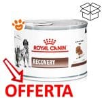 royal-canin-dog&cat-veterinary-diet-recovery-mp