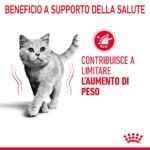 Gatto grigio e messaggio sul controllo del peso