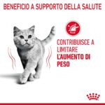 Gattino grigio e messaggio sul controllo del peso