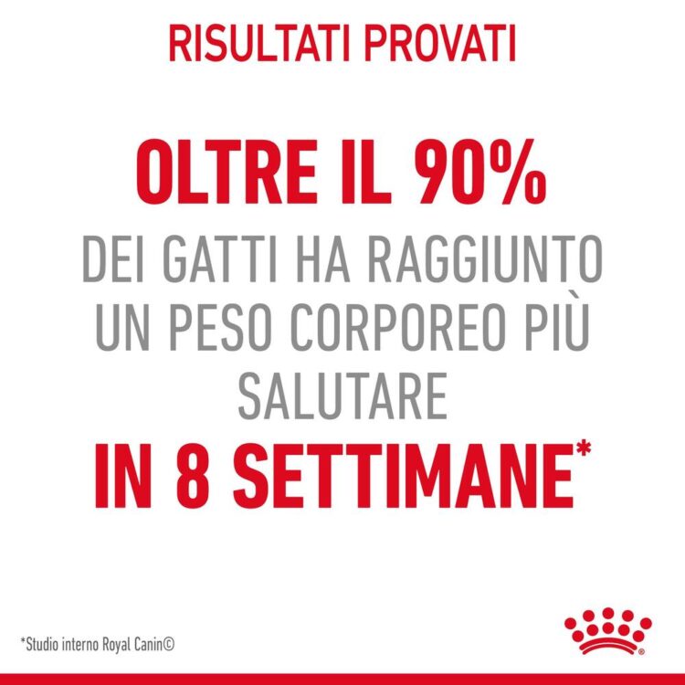 Risultati Royal Canin: oltre 90% dei gatti dimagrisce