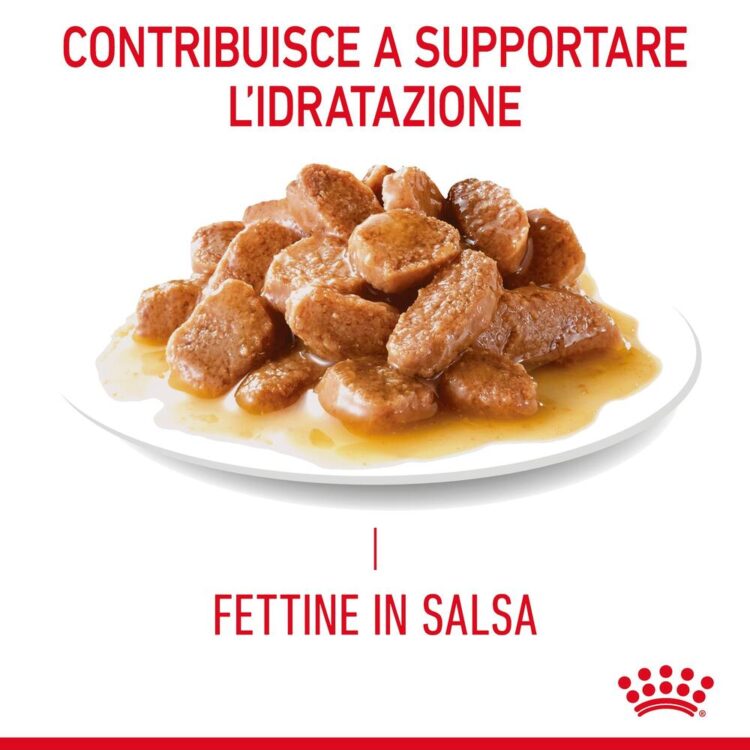 Fettine di carne in salsa su piatto bianco