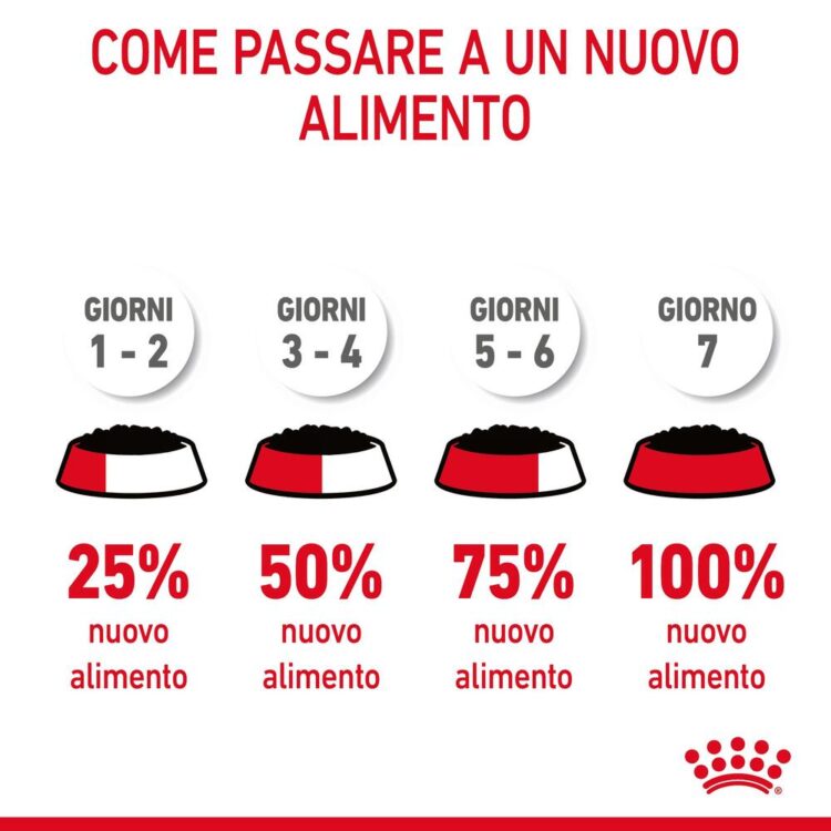 Schema per introdurre gradualmente un nuovo alimento per cani