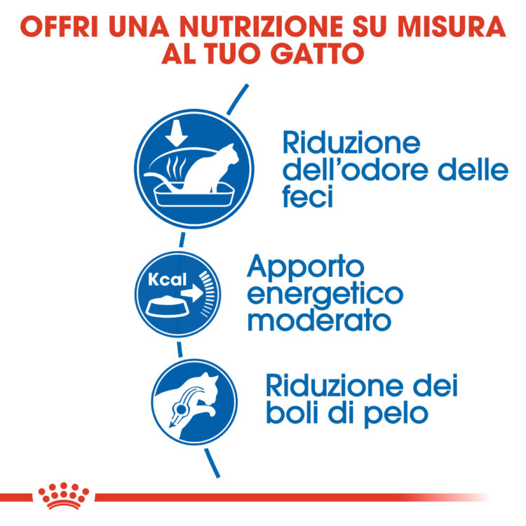 Infografica sui benefici nutrizionali per gatti
