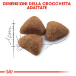 Tre crocchette marroni con indicazione dimensioni 4 centimetri