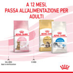 royal-canin-fhn-cat-kitten-sterilised-gallery-4