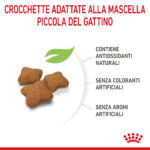 royal-canin-fhn-cat-kitten-sterilised-gallery-5