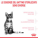 royal-canin-fhn-cat-kitten-sterilised-gallery-7