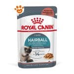 royal-canin-hairball-care-salsa
