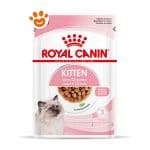 royal-canin-kitten-salsa