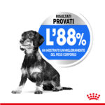 royal-canin-mini-light-weight-care-gallery-6