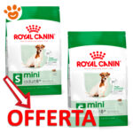 royal-canin-shn-dog-mini-adult-8-mp