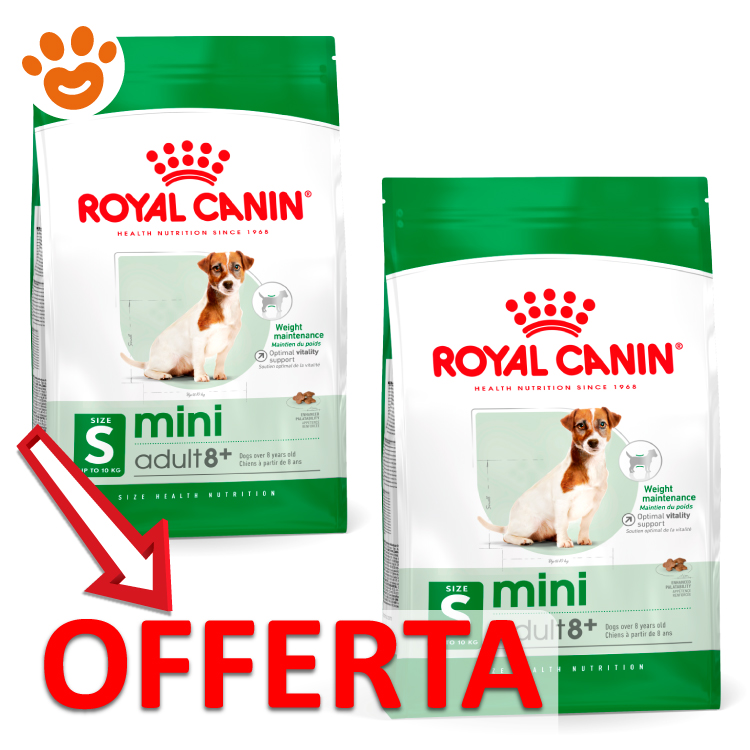 royal-canin-shn-dog-mini-adult-8-mp