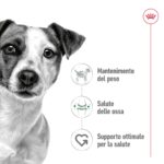 royal-canin-shn-dog-mini-adult-gallery (1)