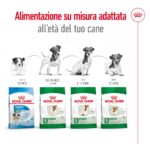 royal-canin-shn-dog-mini-adult-gallery (4)