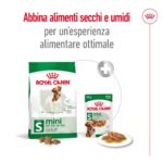 royal-canin-shn-dog-mini-adult-gallery (5)